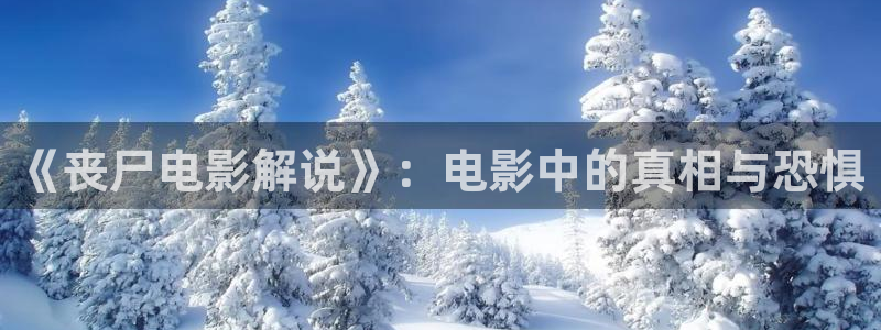 快瞄午夜影院