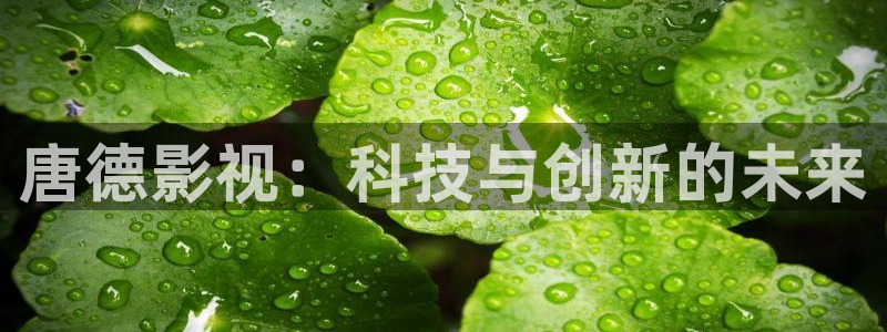 理论片电影琪琪午夜电影