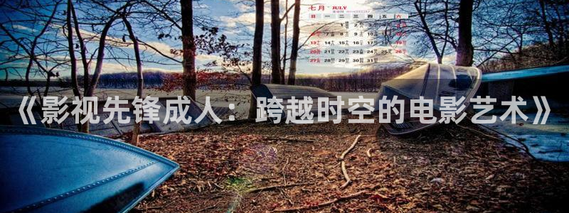 男人午夜电影你懂的