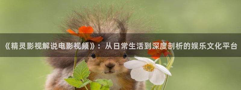 神马午夜影视达达兔