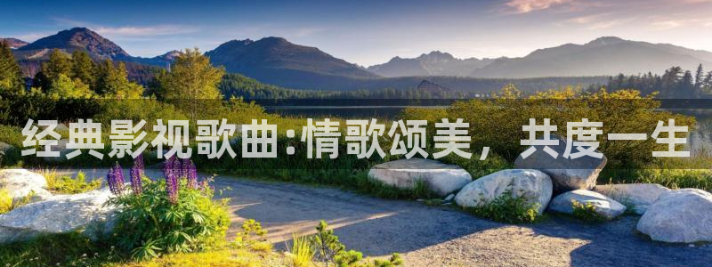 午夜电影在线播放