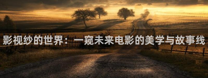 6午夜理论电影
