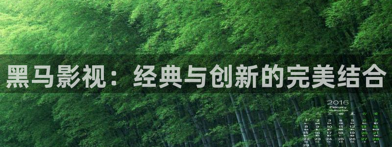 丫丫影院-午夜伦理
