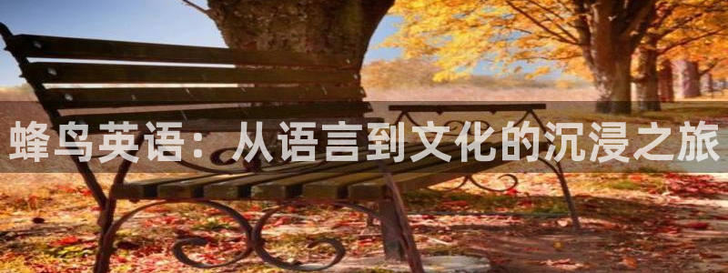 97午夜影院网