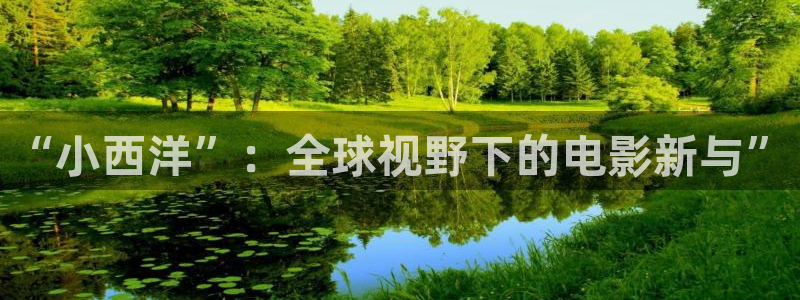 国产成人精品免费午夜在线观看