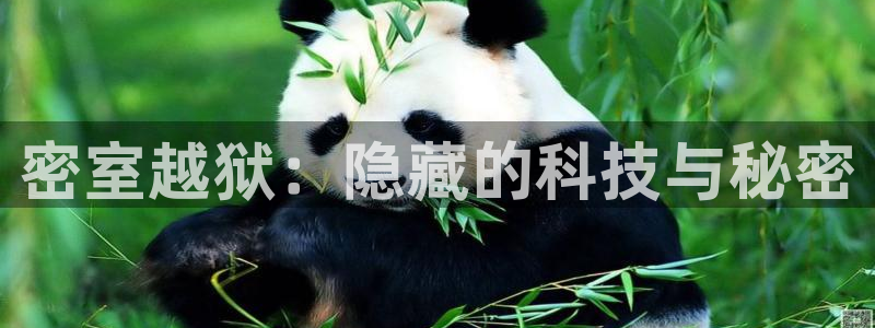 午夜av大片