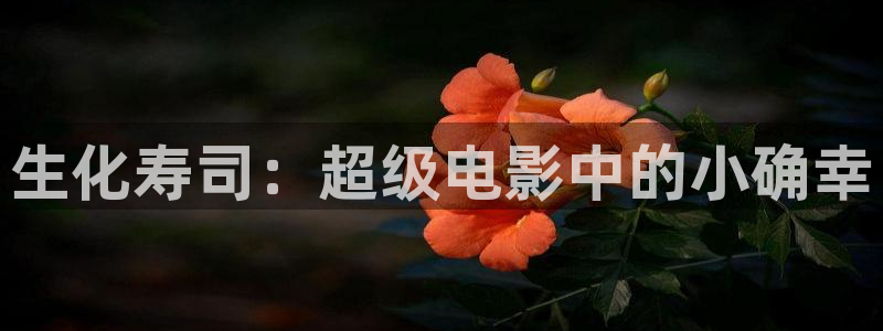 午夜se电影