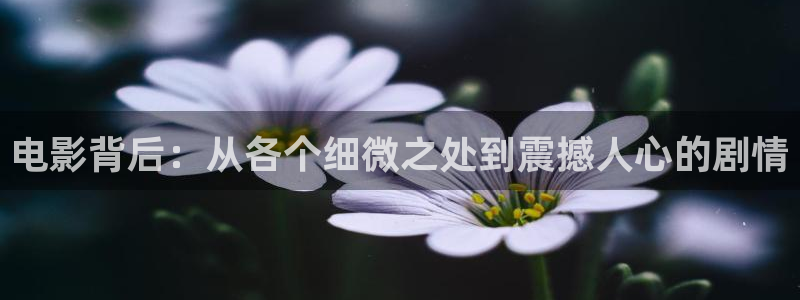 午夜免费av毛片