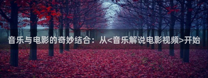 午夜www电影