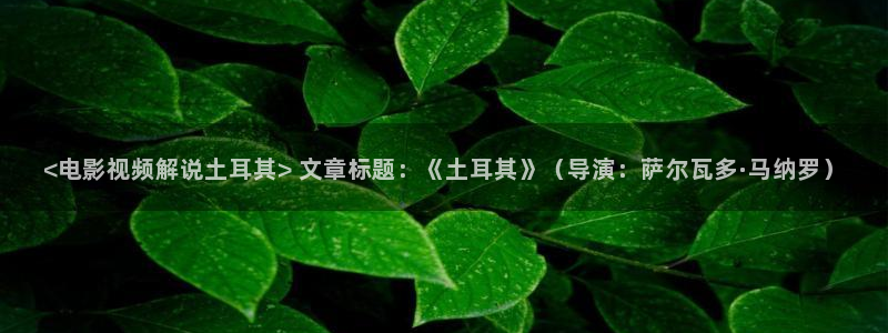 97影院午夜在线观看视频