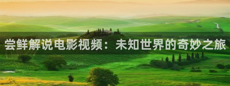 新闻图片