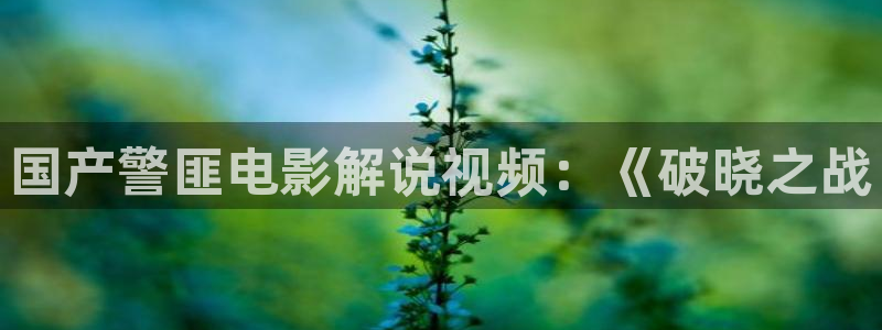 新闻图片