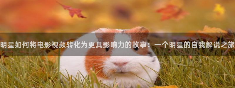 97午夜理论片福利在线观看