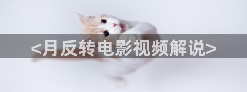 国产av午夜精品