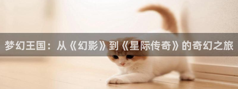 午夜电影全集