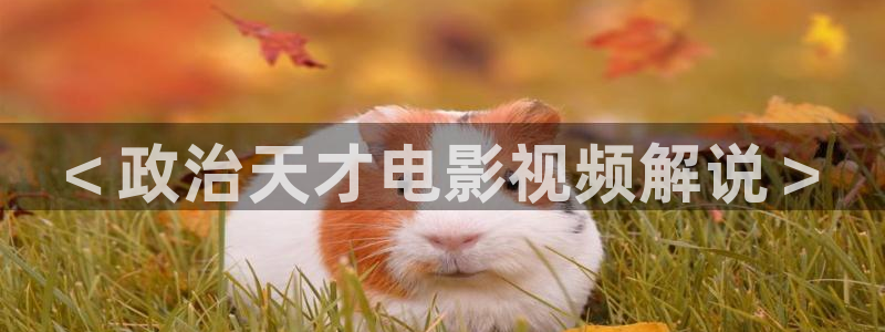 午夜电影福利天堂视频在线观看