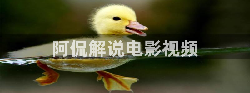 午夜看片免费在线观看