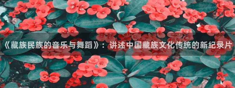 免费午夜电影网站