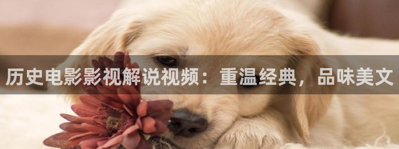 成人午夜片观看