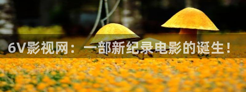 午夜毛片不卡在线看