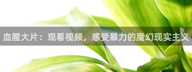 神马影院午夜达达兔