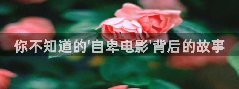 红桃午夜影院