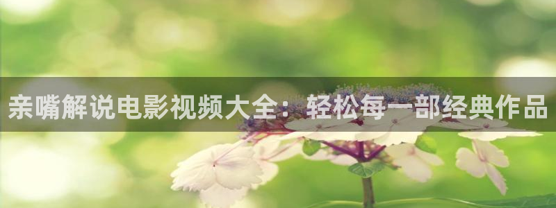 神马三级午夜伦理