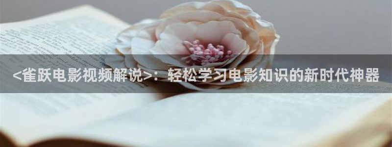在线观看视频免费午夜
