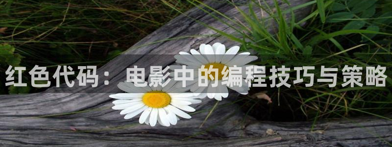 97影院午夜在线影