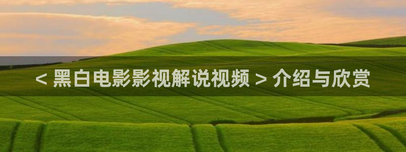 午夜高清日韩在线观看