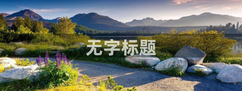 午夜寂寞光棍影院