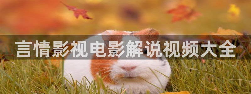 神马电影网在线午夜