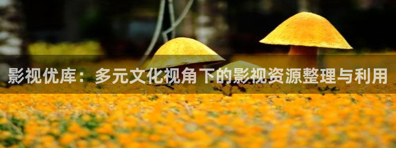 午夜论理影院