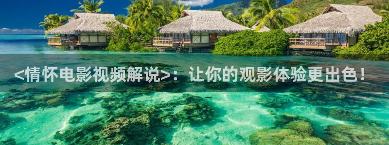 国内午夜影院